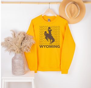 Wyoming Steamboat Gold Crew