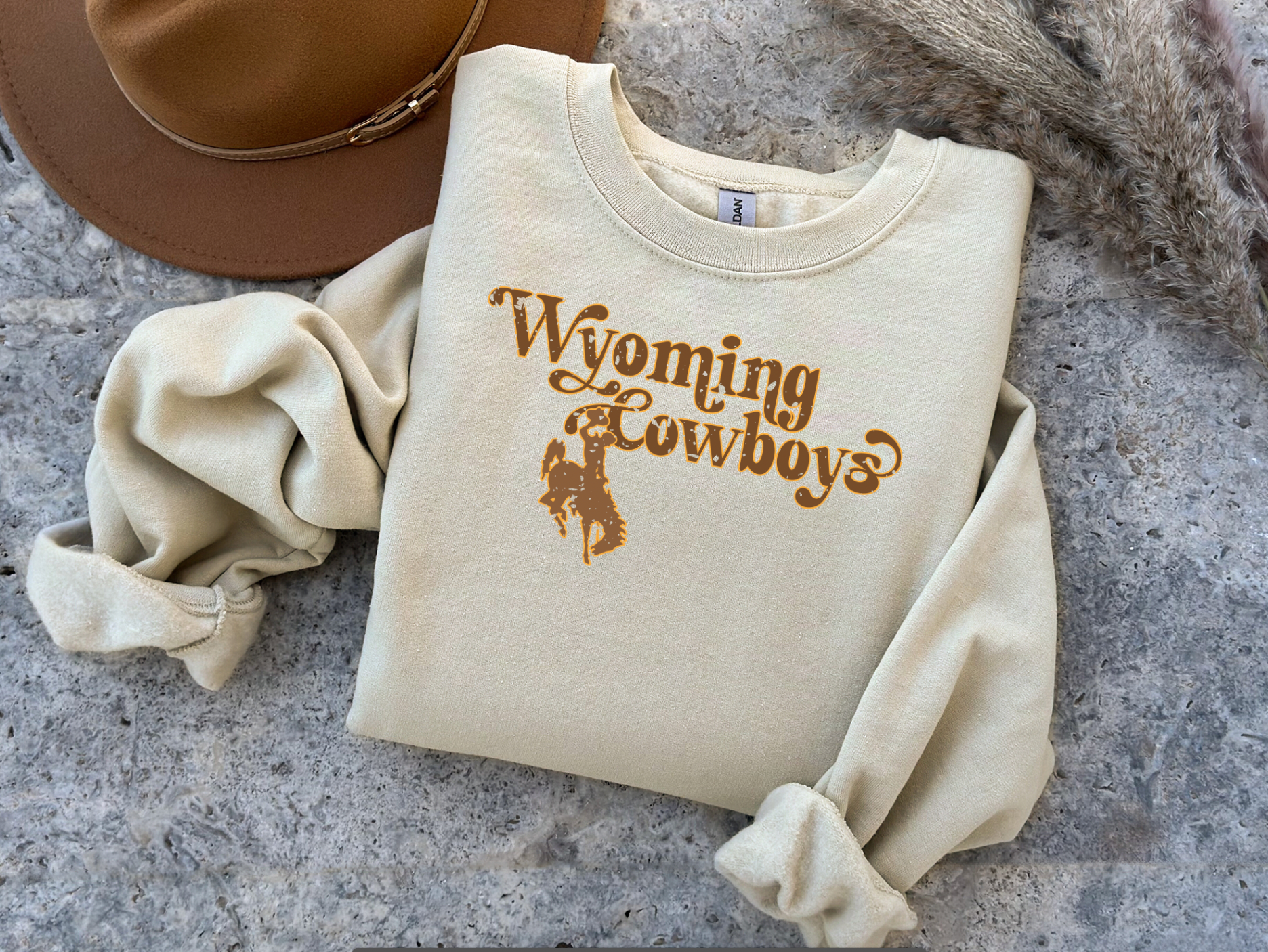 Wyoming Cowboy Steamboat