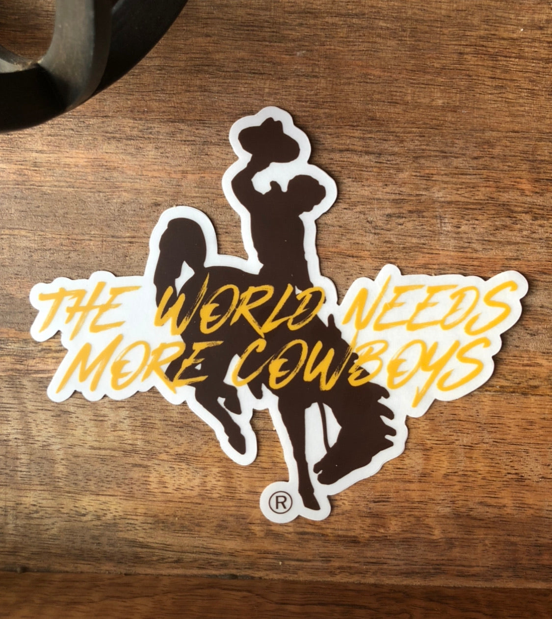 “The World Needs More Cowboys”