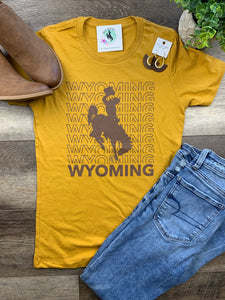 Wyoming Cotton Short Sleeve Boyfriend Crew